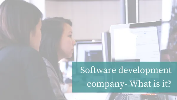 Software development company- What is it?
