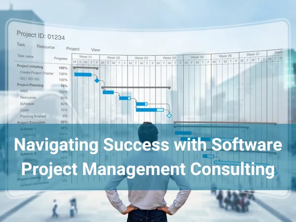 Navigating Success with Software Project Management Consulting