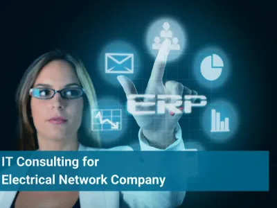 ERP Development and IT Consulting for Electrical Network Company
